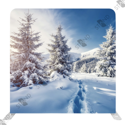 "Snowy Forest" Backdrop - Winter Theme Display - Standelite