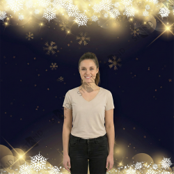 Photocall Hiver Flocons Dorés 2,4m - Décor Noël Pro - Standelite