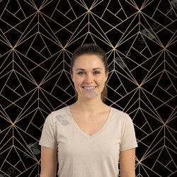 Professional Art Deco Black & Gold Backdrop - Standelite