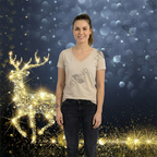 Fond de Scène 2,4m "Christmas Gold" - Standelite - Structure Tubulaire & Tissu Tendu
